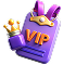 vip